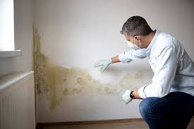  Diamond Bar, CA Mold Remediation Pros